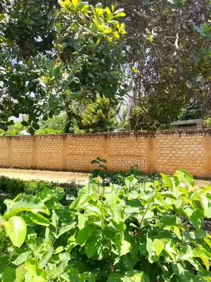 1/8 Plot for Sale