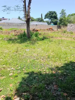 1/8 Plot for Sale
