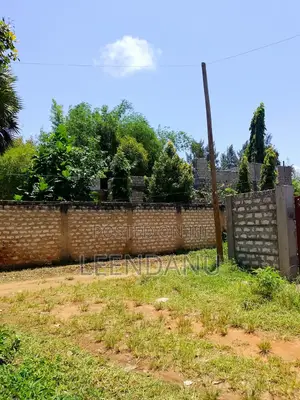 1/8 Plot for Sale