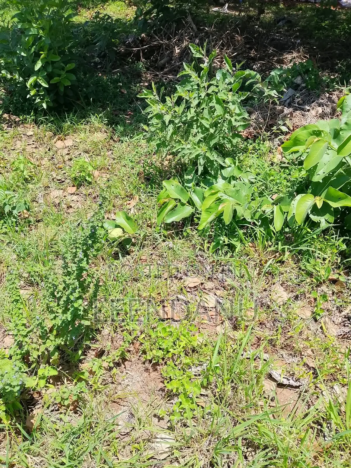 1/8 Plot for Sale