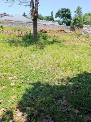 1/8 Plot for Sale