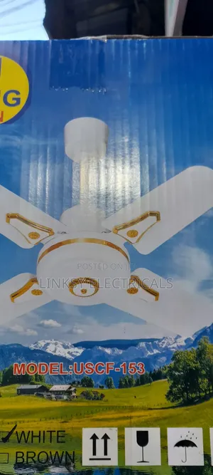 Rotating Fans