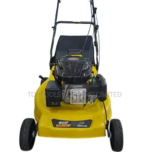 Wasp Australia Brand Lawnmowers 4 HP