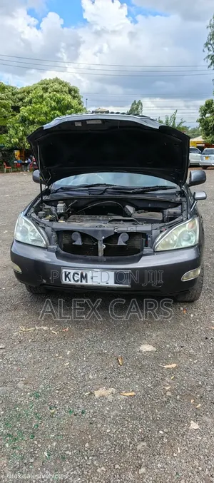 Toyota Harrier 2010 Gray