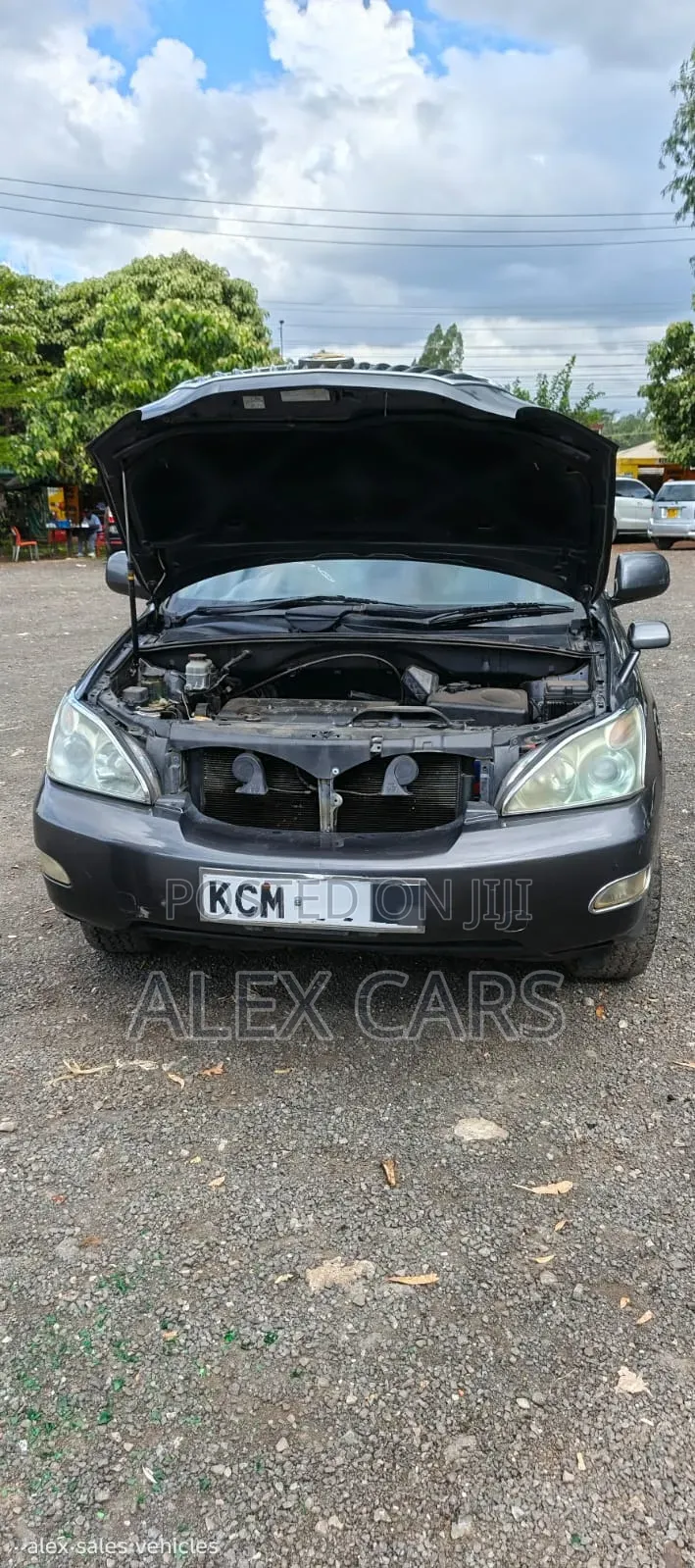 Toyota Harrier 2010 Gray