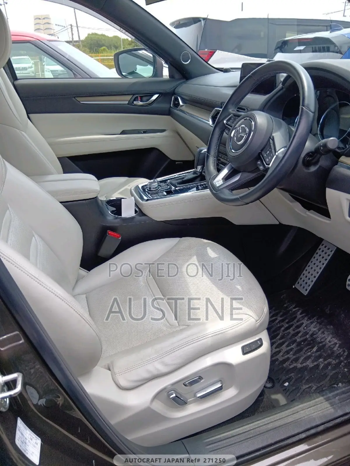Mazda CX-8 2019 Brown