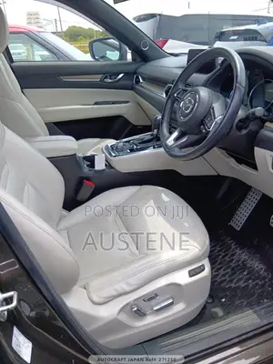 Mazda CX-8 2019 Brown