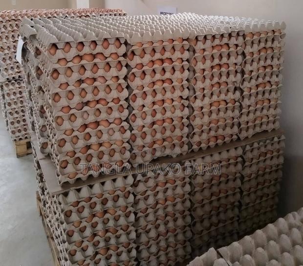 Wholesale Fresh Eggs - thumbnail 3