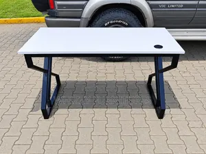 Modern Metallic Stand Desk