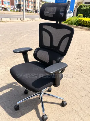 Ergonomic Mesh Office Chair With Lumbar Support
