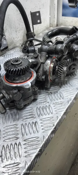 Power Steering Pump /Cartilage Zd30