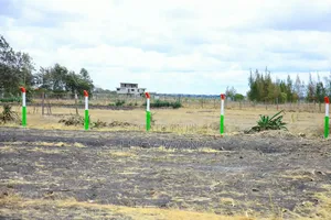50*100 Plots in Komarock