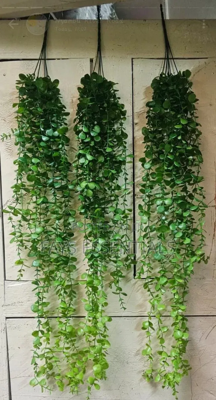 Hanging Vines