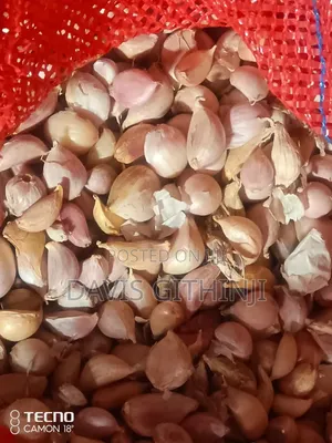 Garlic/Saumu Seeds
