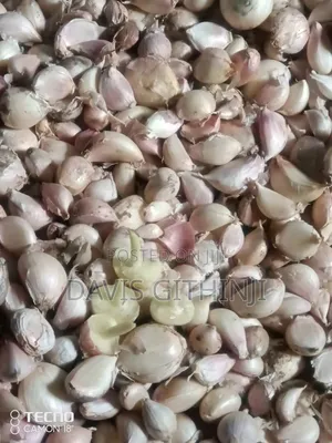 Garlic/Saumu Seeds