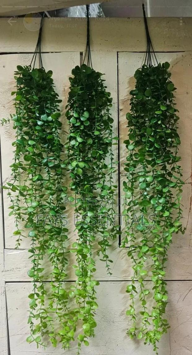 Hanging Vines - thumbnail 2