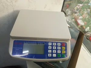 DT-580 Commercial Shop Weighing Scale
