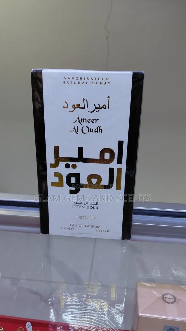Ameer Al Oudh