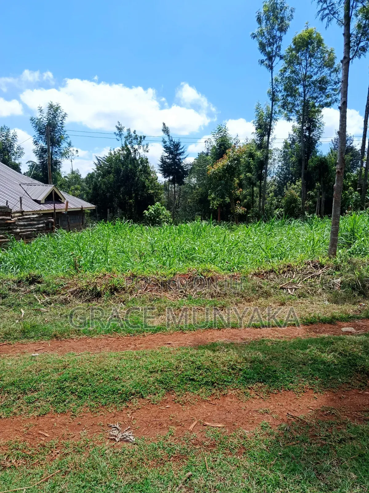 Nyeri Gitathini 1/8 Acre