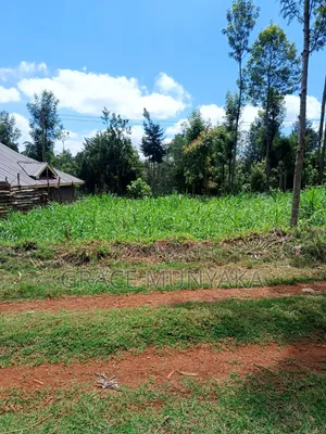 Nyeri Gitathini 1/8 Acre