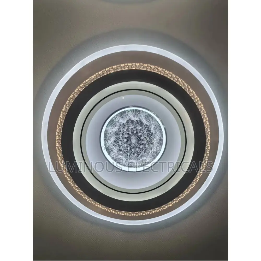 Premium 3D Infinity Dandelion LED Ceiling Light