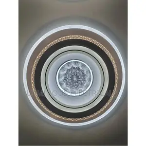 Premium 3D Infinity Dandelion LED Ceiling Light