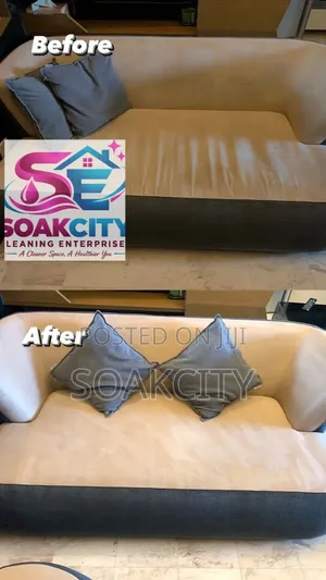 Sofa Cleaning