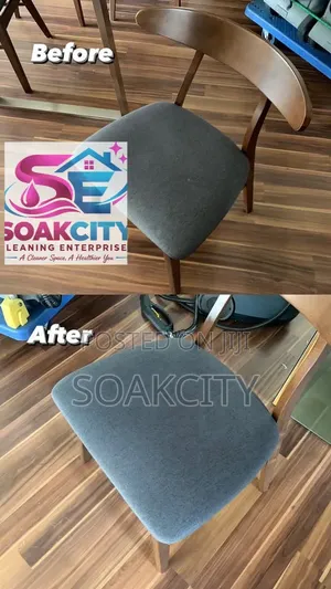 Sofa Cleaning