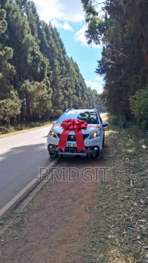 Car Ribbon