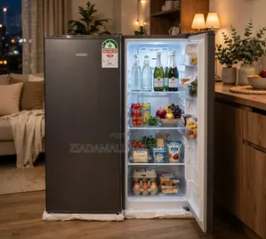 Ecomax 90L Fridge - Dark Silver - Single Door - Energy Saving - New