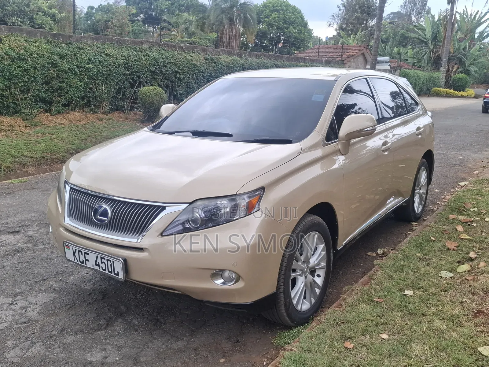 Lexus RX 400h 2009 Brown