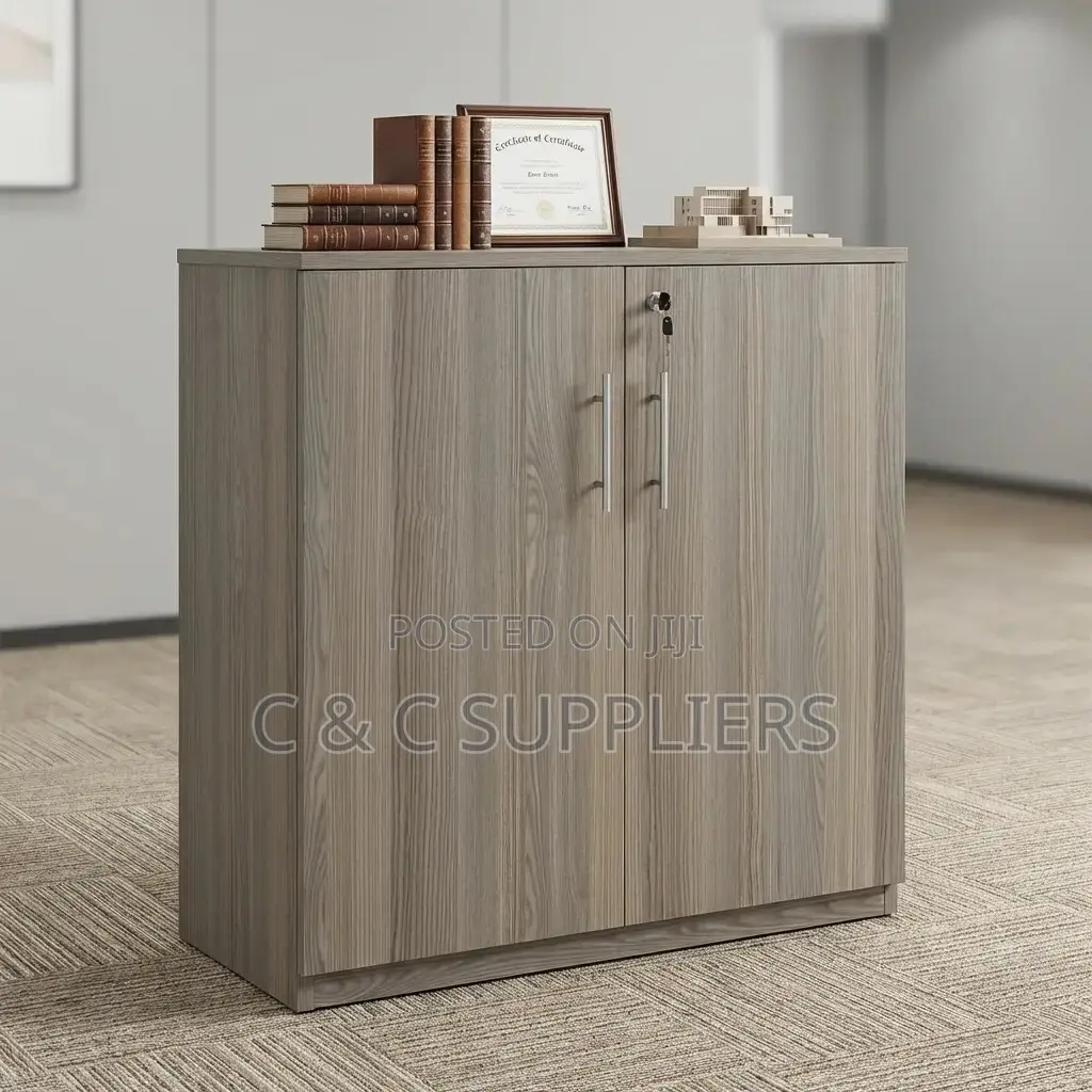 2-Door Customized Credenza File Cabinet.