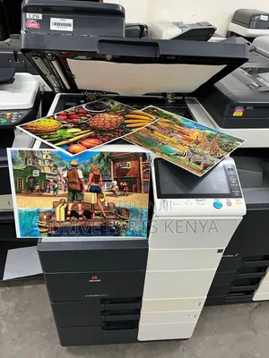 Konica Minolta Bizhub C 364