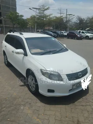 Toyota Corolla Fielder 2009 White