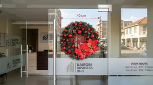 40 CM Holiday Front Door Pre-Lit Wreath