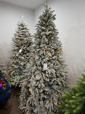 7ft Premium PVC Prelit Christmas Tree