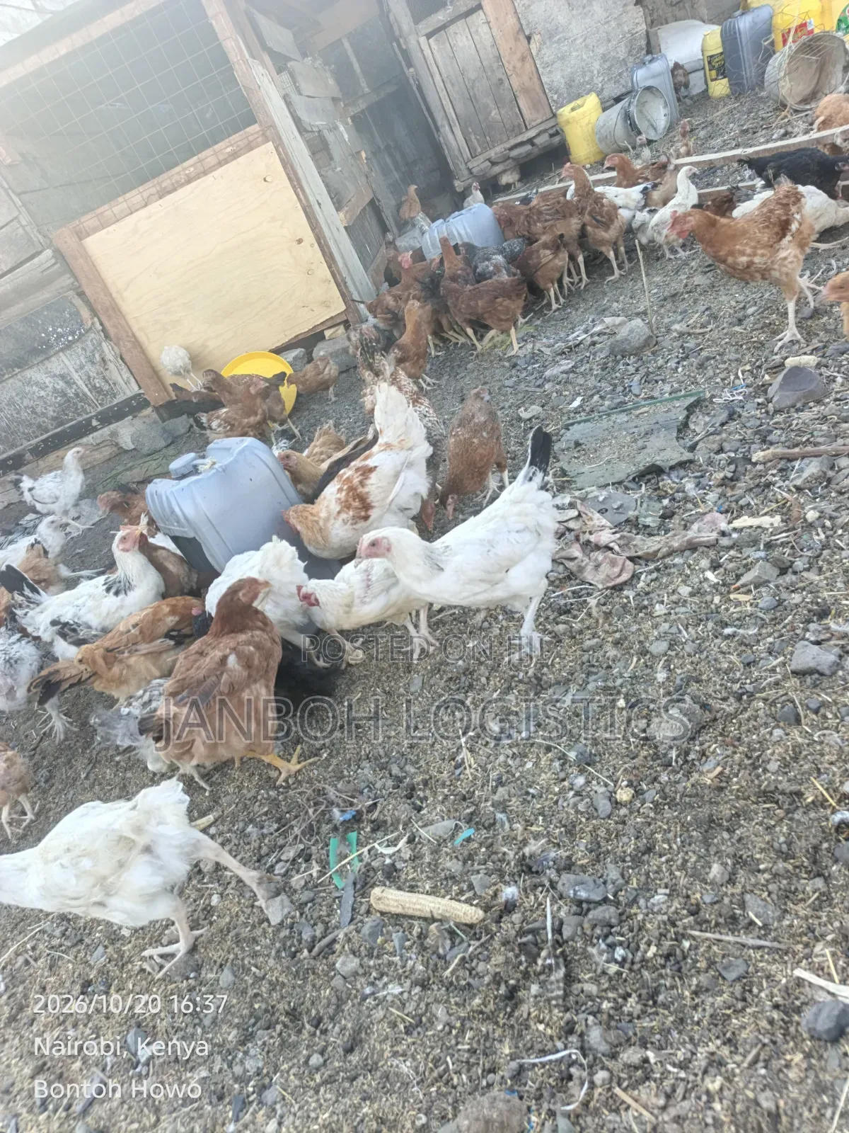 Poultry Farming