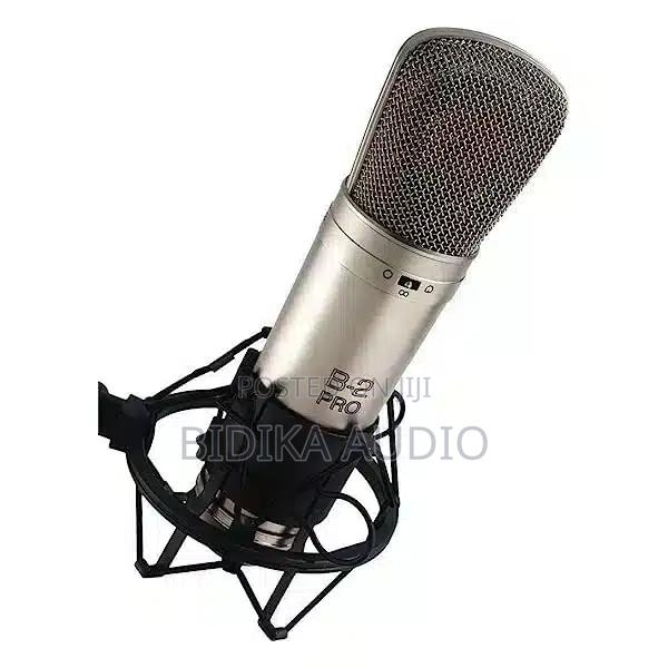 Behringer B2Pro Condenser Microphone - main view