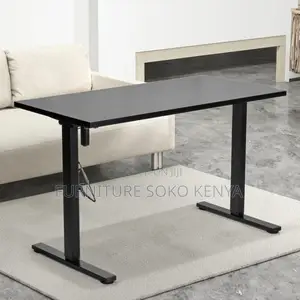 Desk : 1.2M Motorized Electric Sit-Stand Office Desk