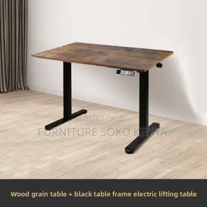Desk : 1.2M Motorized Electric Sit-Stand Office Desk