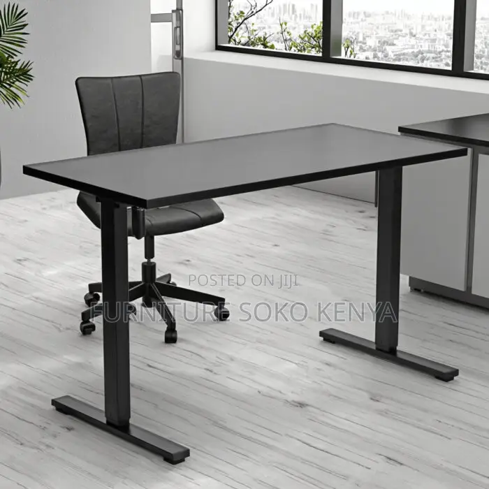 Desk : 1.2M Motorized Electric Sit-Stand Office Desk