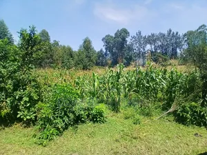 2 Plots for Sale in Chemwa