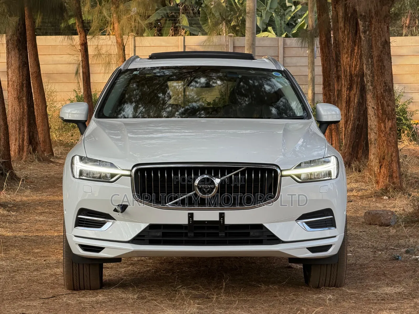 Volvo XC60 2019 White