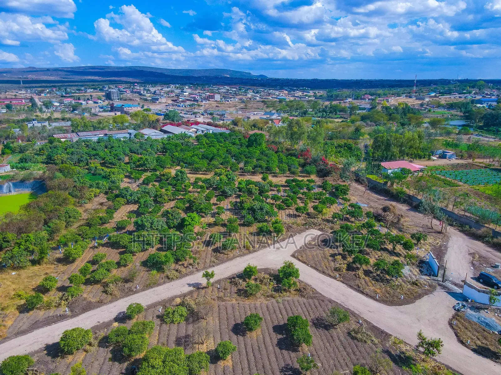 Orchard Gardens for Sale.^Bw