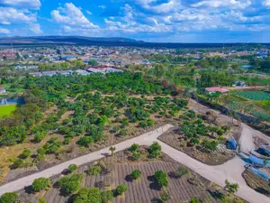 Orchard Gardens for Sale.^Bw