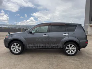 Mitsubishi Outlander 2010 Gray