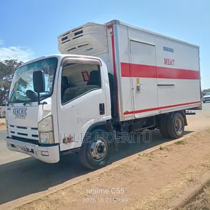 Isuzu ELF Truck 2011 White