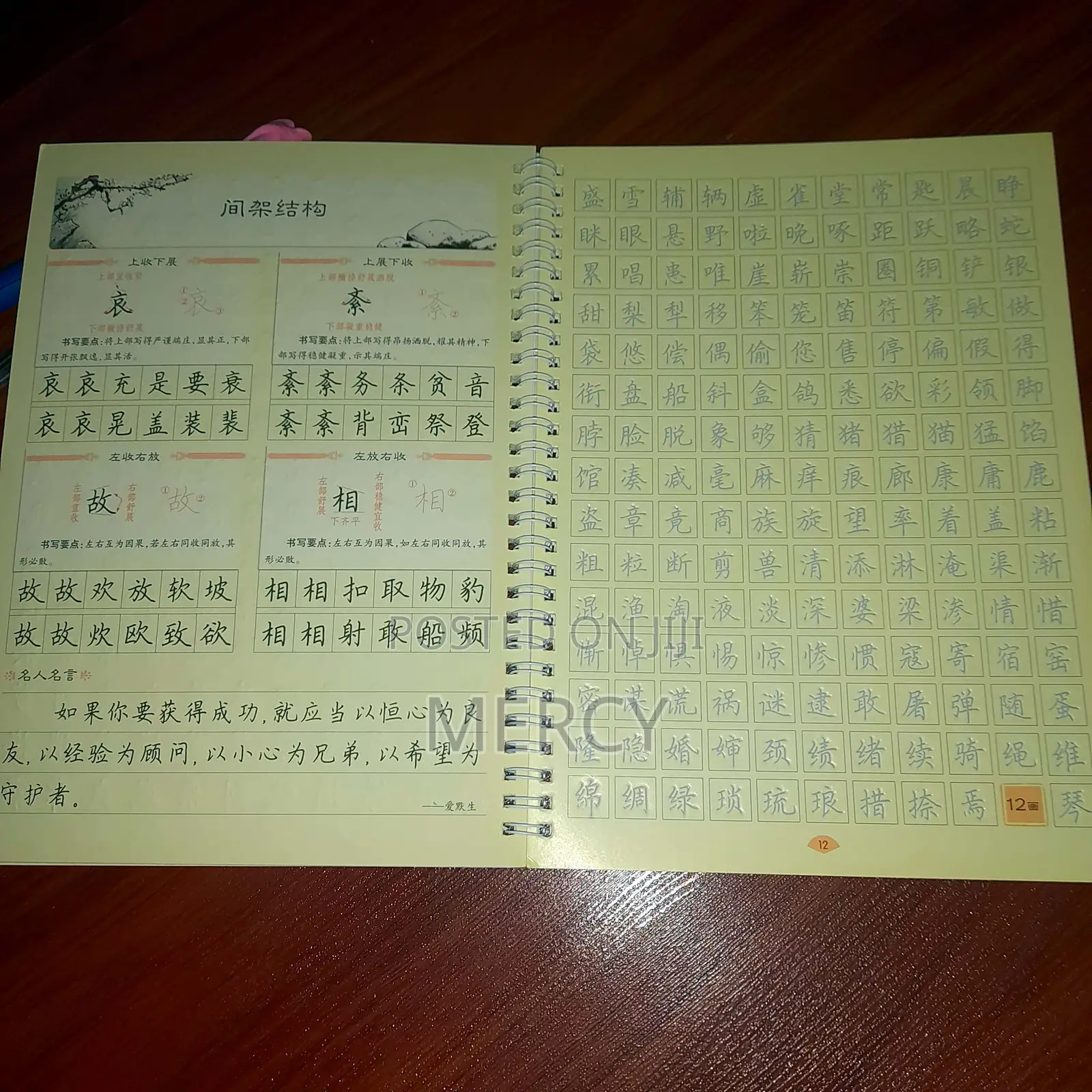 Professional Reusable Chinese Calligraphy/Character Practise Copybook