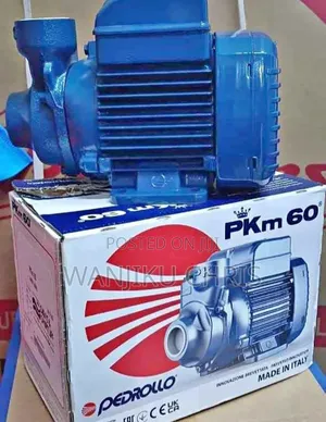 Pedrollo Electric Water Pump 0.5HP / Booster Water Pump