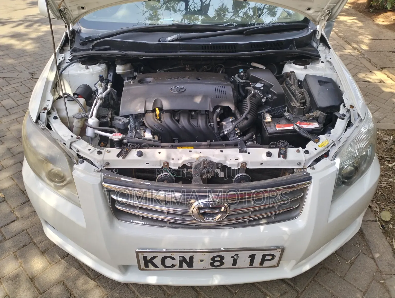 Toyota Axio 2011 White